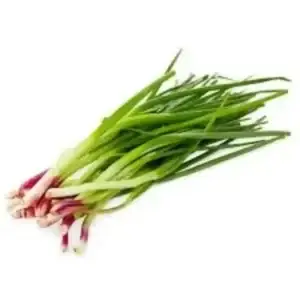 Spring onion