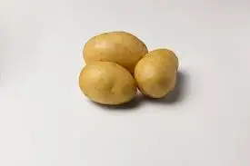 Potato